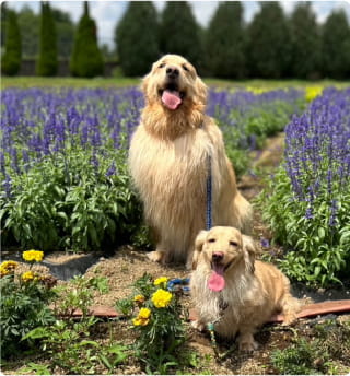 菅原社長の写真